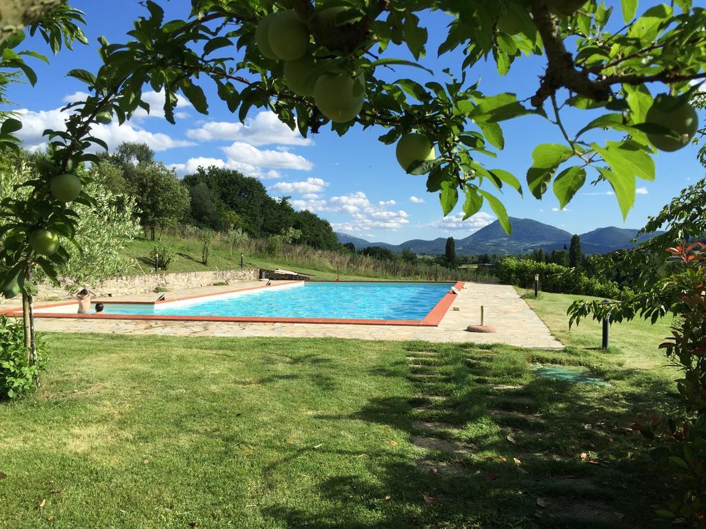 Villa Agricola Caicucci Montone  Camera foto