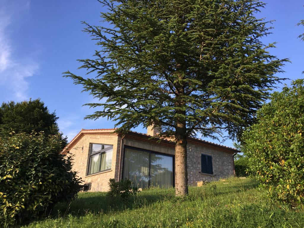 Villa Agricola Caicucci Montone  Camera foto