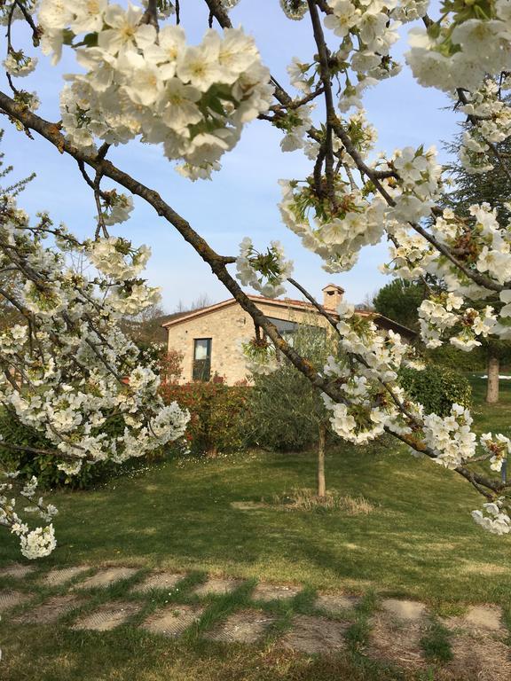Villa Agricola Caicucci Montone  Esterno foto
